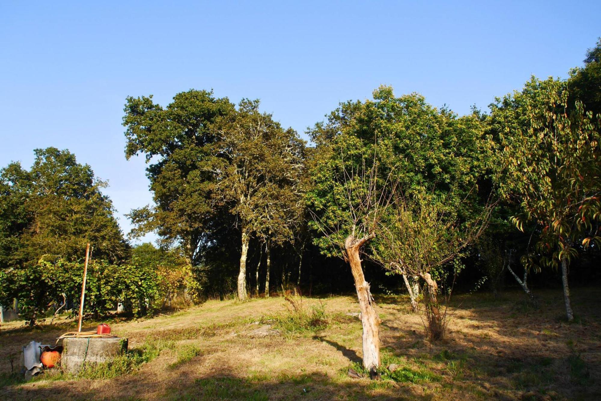 Casa Ermitas - Relajate En Plena Naturaleza 艾斯特拉达 外观 照片